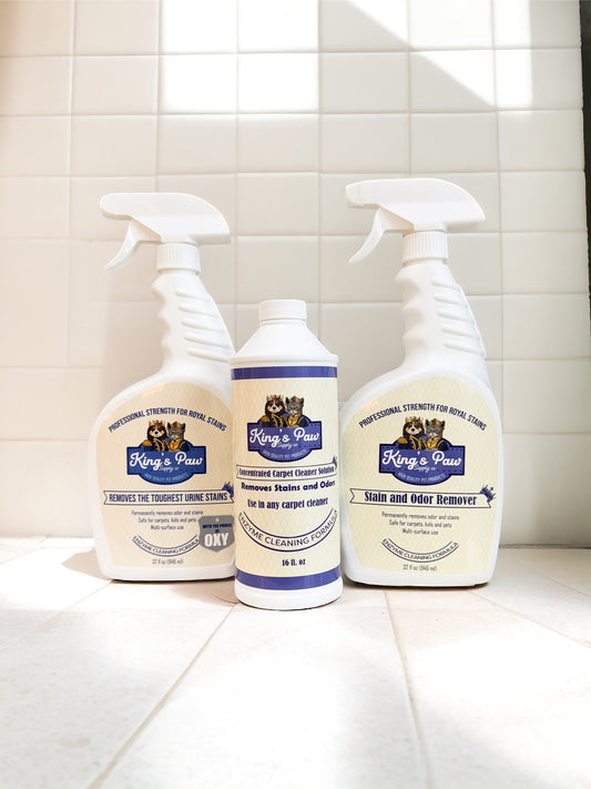 Cleaning & Carpet Care Combo Pack