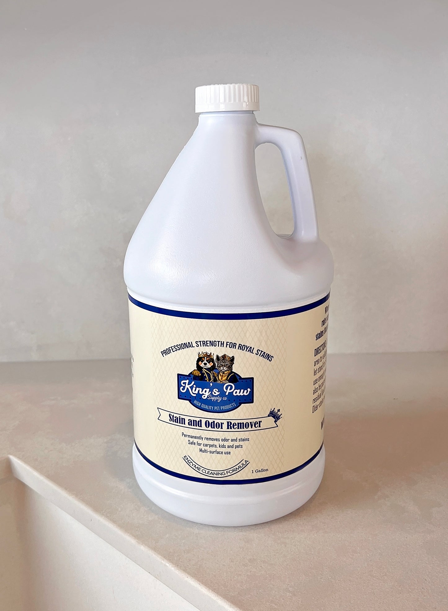Stain & Odor Eliminator Spray